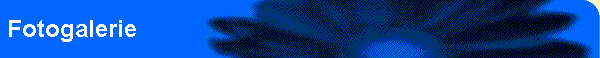 Fotogalerie